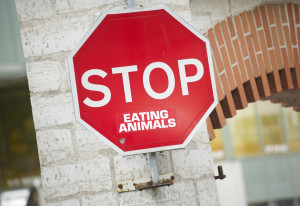 A sign that is fixed to a brick wall reads, "STOP EATING ANIMALS."