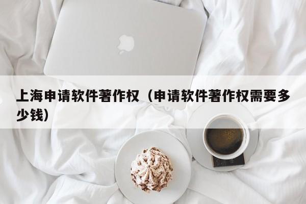 上海申请软件著作权（申请软件著作权需要多少钱）